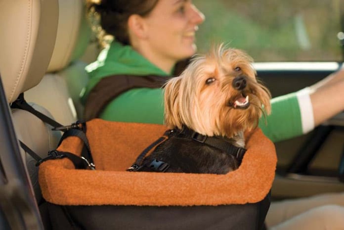 dog car seats